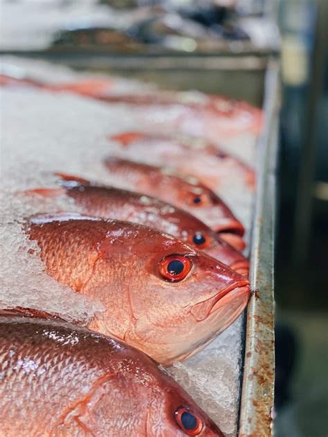 fish paradise|Pacific Fresh – Fish Company.